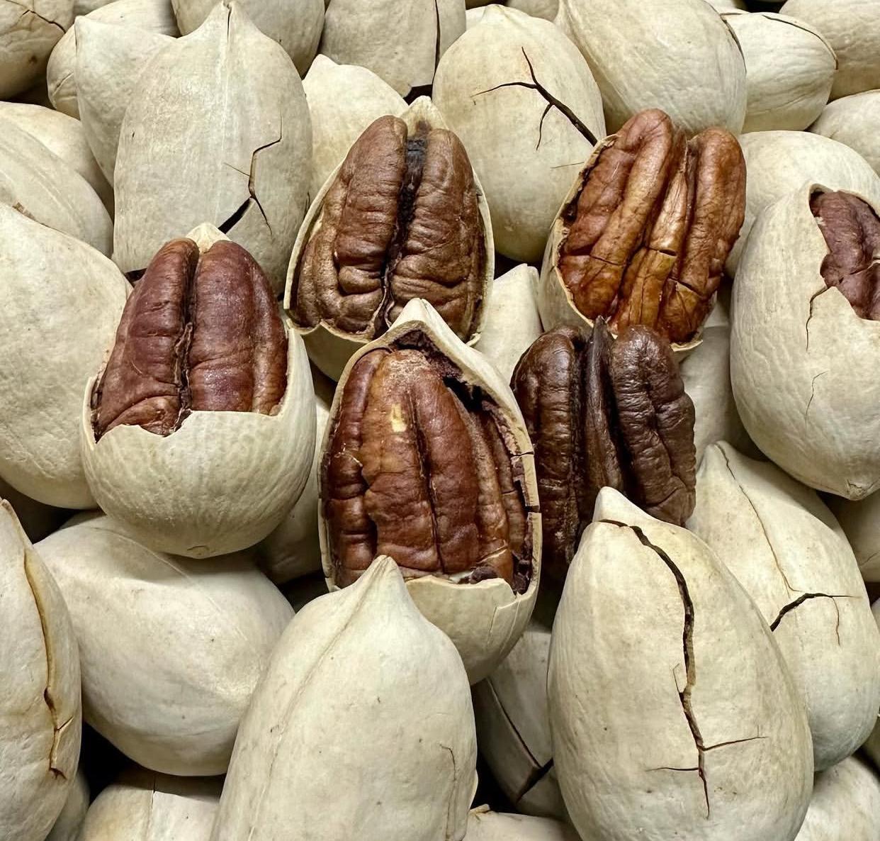 PECAN WITH SHELL 250g
