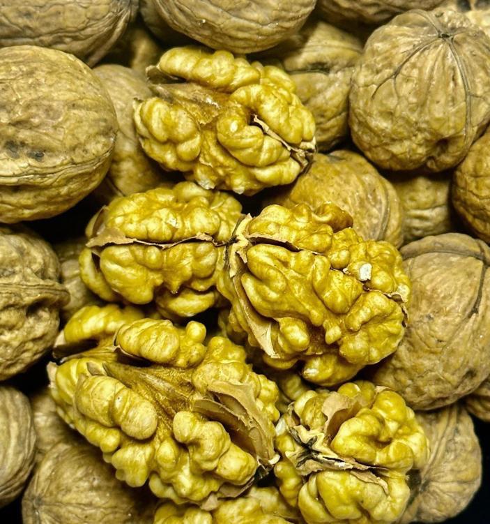 UZBEK WALNUTS 250g